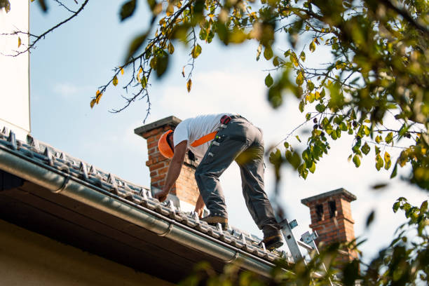 Best Gutter Installation and Repair  in Hornsby Bend, TX