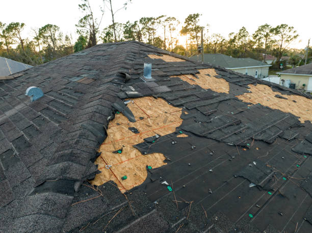 Best Flat Roofing  in Hornsby Bend, TX