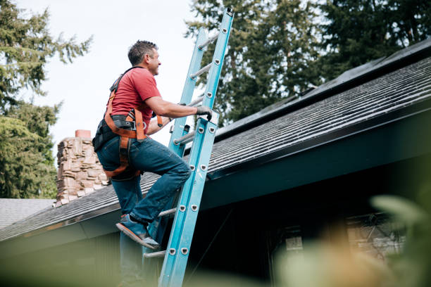 Best Roof Moss and Algae Removal  in Hornsby Bend, TX